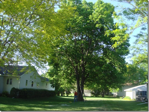 DSC02210