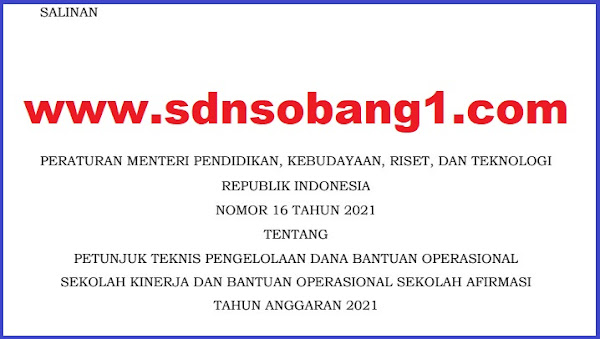 JUKNIS BOS KINERJA AFIRMASI TAHUN 2021 BERDASARKAN PERMENDIKBUDRISTEK NOMOR 16 TAHUN 2021