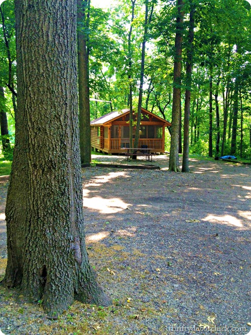 rustic cabin in the woods