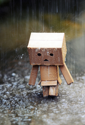 photo DANBO