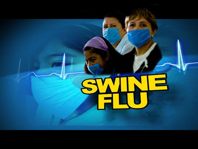 swine flu a complete information 