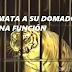 TIGRE MATA A SU DOMADOR EN PLENA FUNCIÓN