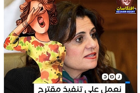 وزيرة الهجرة تقول إن الوزارة تعمل بالفعل بتنظيم هجرة المصريين إلى بعض الدول، وذلك عبر مبادرة «مركب نجاة»