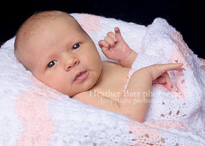 Newborn Baby Pictures on Newborn Baby Girl   Boston Massachusetts Photography    Heather Barr