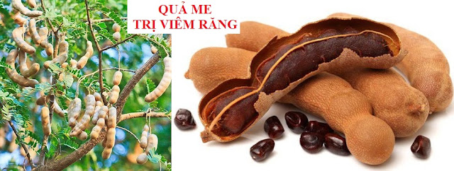 PHÒNG CHỮA BỆNH NHỜ RAU CỦ QUẢ QUANH TA - QUẢ ME TRỊ VIÊM RĂNG