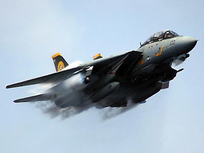 F-14 Tomcat wallpapers