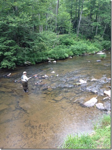 newland_NC 100
