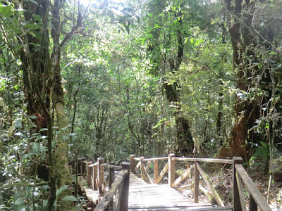 parque nacional doi inthanon