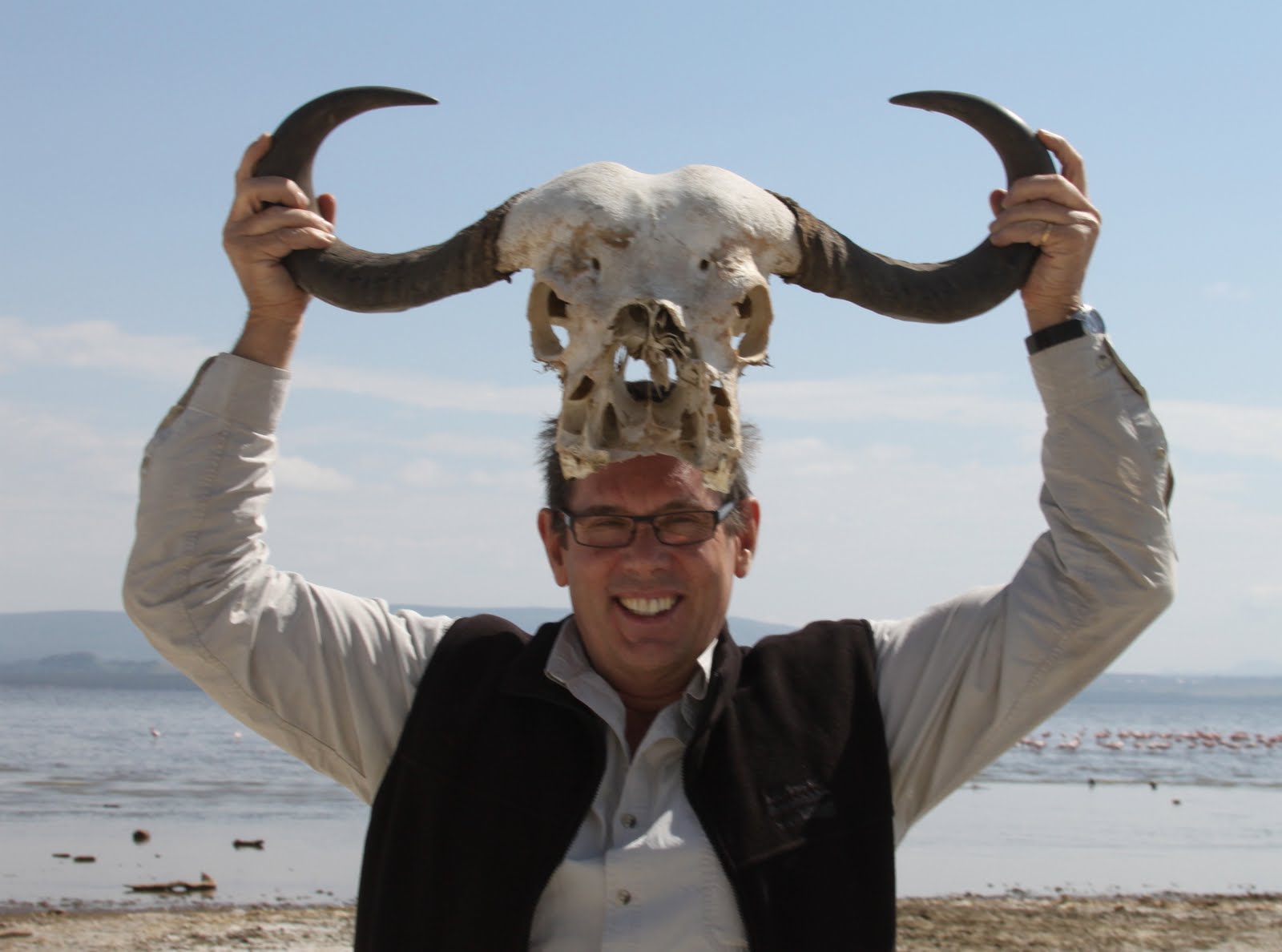 Bull by the Horns