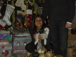 My 2010 Christmas Gift