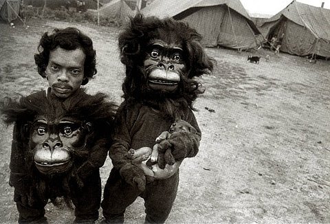 Little Monkey Suits