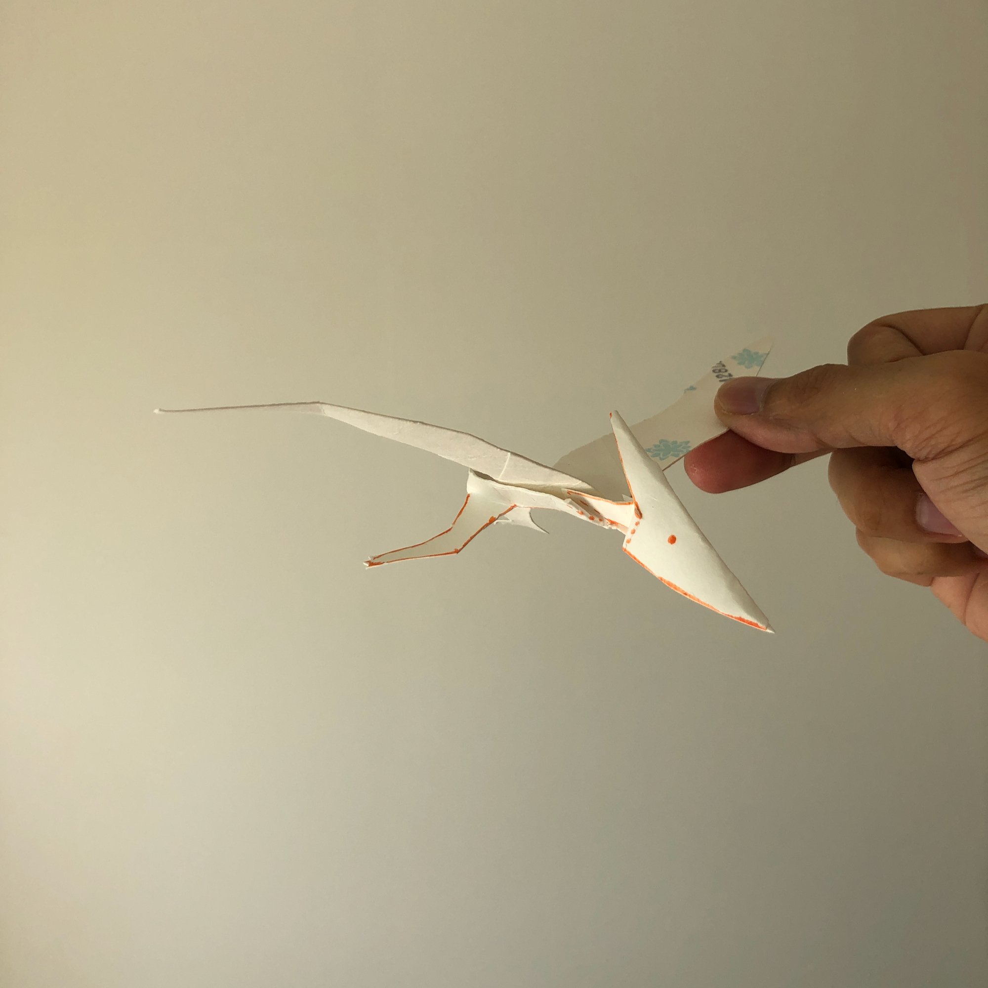 プテラノドン 工作記録帳 プテラノドン 工作記録帳