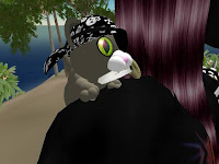 second life animal pictures - pirate kitty