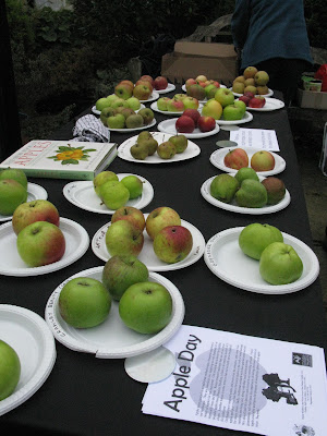 Display of apple varieties at Apple Day