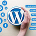 WordPress design website agency Karachi