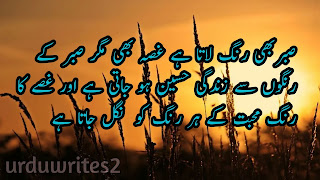 urdu quotes