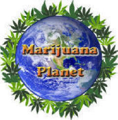  Marijuana Planet