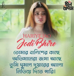 Hariye Jao Jodi Bhire Lyrics (হারিয়ে যাও যদি ভিড়ে) Anupam Roy | Mekhla | Cheene Baadaam | Yash