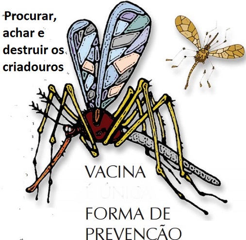 Febre Amarela : Aedes,Haemagogus,Sabethes - Diferença entre a forma silvestre e urbana é o mosquito