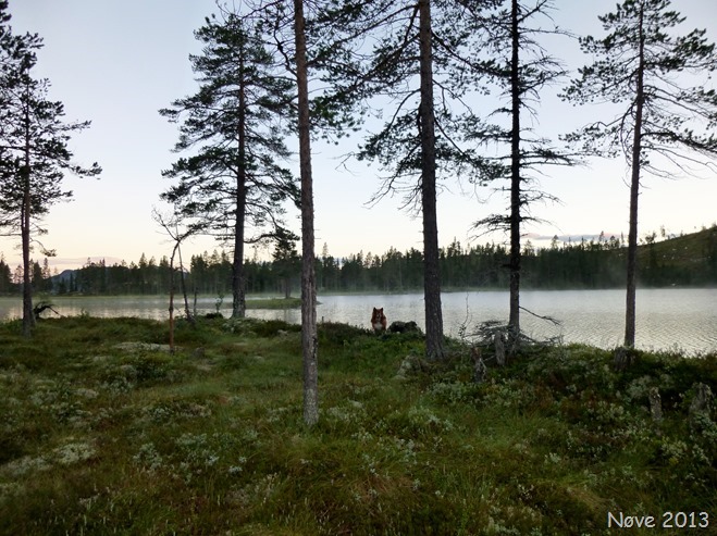 P1000313