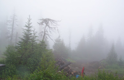 Backyard in the clouds