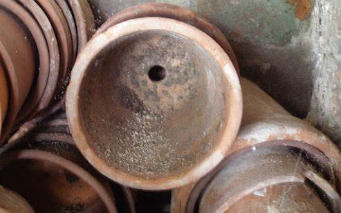 Dirty terracotta pots