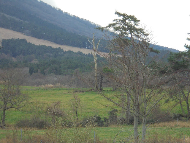 大山まきばみるくの里