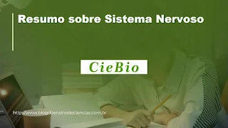 Resumo sobre Sistema Nervoso