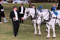 Wedding Coach and Horses