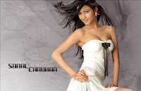 Wallpapers of actress Sonal Chauhan - 12