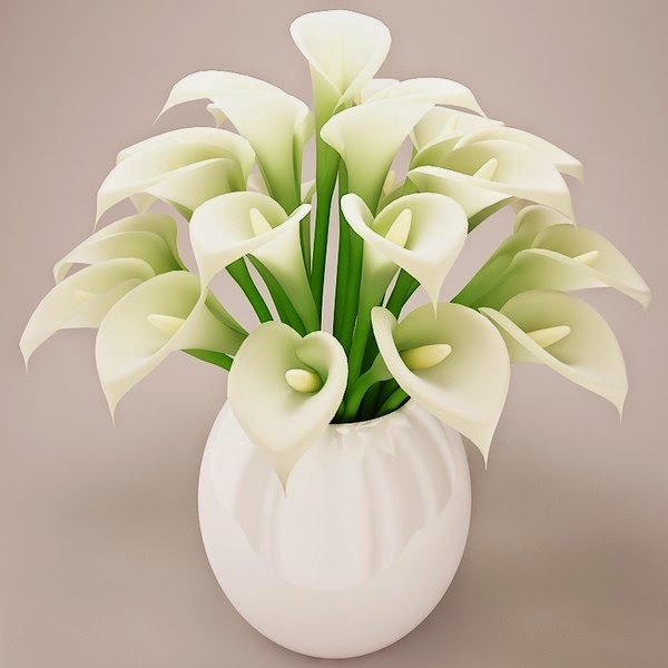 3d+model+beautiful+white+flowers