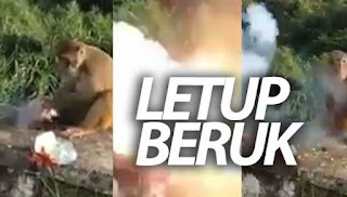 Perakam video dan pelaku lebih beruk daripada beruk