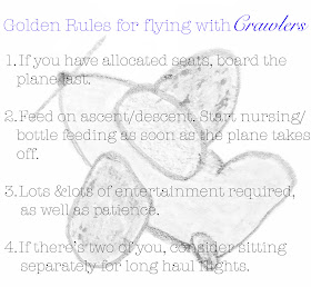 meg-made golden rules for flying with crawlers