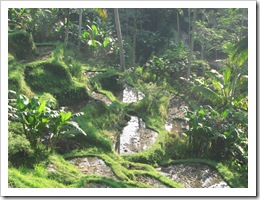 0862 Indonésia - Bali - Ubud to Penelokan