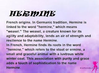 meaning of the name HERMINE