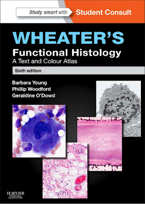 Wheaters Functional Histology 6th Edition by Barbra Young ُ PDF Free Dowload