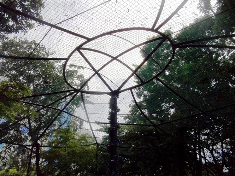 The circular, high, and netted 'canopy' lets in bright sunlight while acts as shield against the he