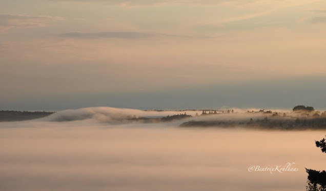 Fog over Eastport, Maine