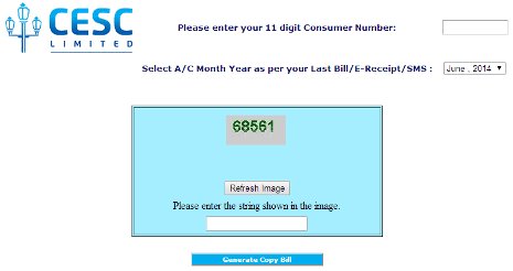 Pay Your Bill Online Button