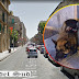 Messina, bambina azzannata dal cane di un clochard in via I Settembre