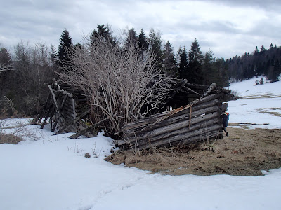 Rezerwat biała Woda, Szczawnica, ciekawe szlaki turystyczne w Szczawnicy, grzyby 2018, grzyby w marcu