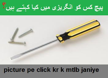 Screwdriver meaning in urdu, what is meaning of Screwdriver in english, urdu to english dictionary, english dictionary in urdu,