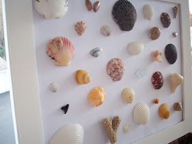 seashell art