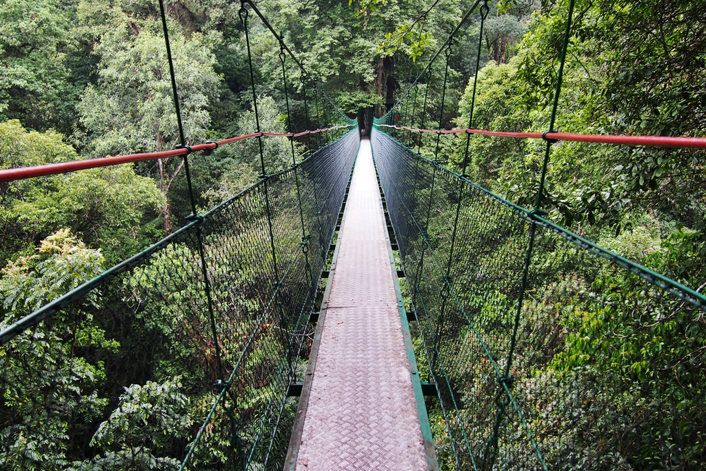 Gunung Gede Taman Nasional Gede Pangrango Steemit