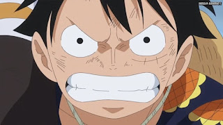 ワンピースアニメ ドレスローザ編 695話 ルフィ Monkey D. Luffy | ONE PIECE Episode 695