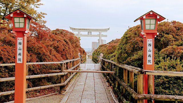 京都 長岡天満宮 紅葉