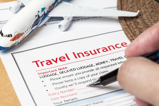 Feasibility study for establishing a travel insurance office;