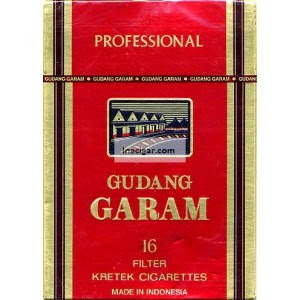 Gudang Garam Professional 16