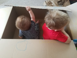 kids playing in a cardboard box