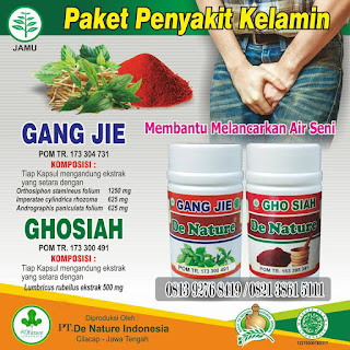 Obat Alami Untuk Menyembuhkan Penyakit Sipilis Pada Pria Paling Manjur Dan Aman Tanpa Efek Samping